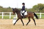 SBM_003514