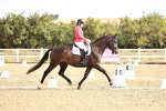 SBM_008689