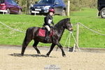 260411A-094626-00329