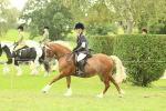 SBM_72085