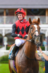 150723-Race 7-Roundhay Park-0775