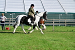 SBM_11380