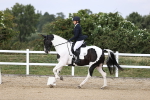 SBM_017978