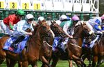 Race 2 14.25pm Sky Bet Melrose Handicap portfolio