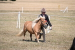 WJ6_9296