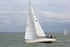 141025 ALCYONE WT7A8566