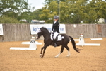 SBM_03635