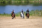 WJ6_8304