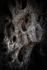 Scream_RLP408274