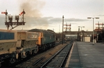 25th Jan 1984