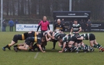 Kendal Rugby v York portfolio