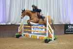 SBM_009950