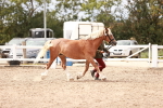 SBM_16313