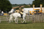 SBM_09548