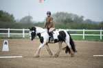 SBM_003435