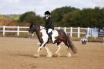 SBM_009333