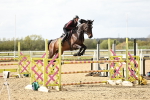 SBM_001349