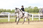 SBM_006656
