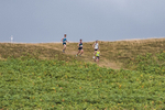 Lowther-4