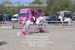 BPP_1022