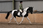 SIAL2409