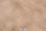 231217A-114125-00818