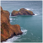 The Secluded Cottage, Carrick-a-Rede (IMG0936)