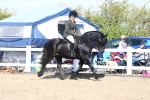 SBM_13429