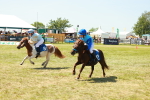 SBM_17201