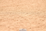 230628A-112256-00243