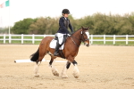 SBM_006471