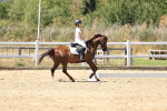 SBM_002550