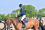 Cls 8 British Novice & 90cm Open portfolio