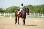 SBM_009661
