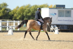 SBM_001779
