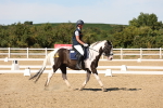 SBM_003705