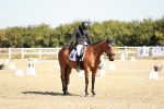 SBM_016987