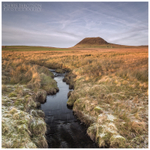 Slemish Mountain, Ballymena (IMG0711)
