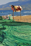 Malawi portfolio
