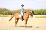 SBM_008415