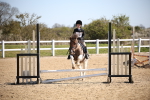SBM_000769
