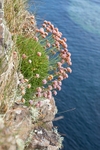 20120531-_MG_9945
