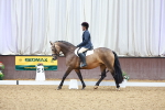 SBM_000883