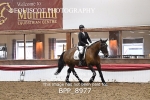 BPP_8977