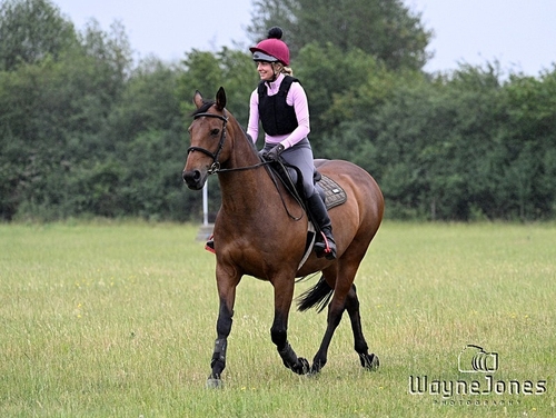 WJ7_8372