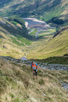 Hartsop Hop-336