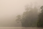 River in the clouds...