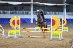 SBM_001778