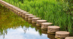 The Dividing Line
