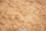 240526A-120522-07946